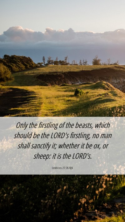 Picture 06 - Leviticus 27:26 KJV Mobile Phone Wallpaper - Only the firstling of the beasts, which should be - Mobile Bible Verse Wallpaper