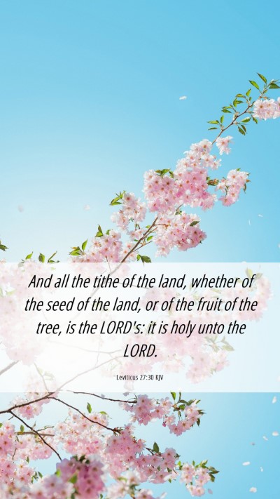 Picture 06 - Leviticus 27:30 KJV Mobile Phone Wallpaper - And all the tithe of the land, whether of the - Mobile Bible Verse Wallpaper