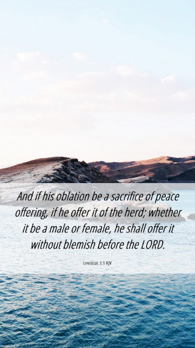 Picture 06 - Leviticus 3:1 KJV Mobile Phone Wallpaper - And if his oblation be a sacrifice of peace - Mobile Bible Verse Wallpaper