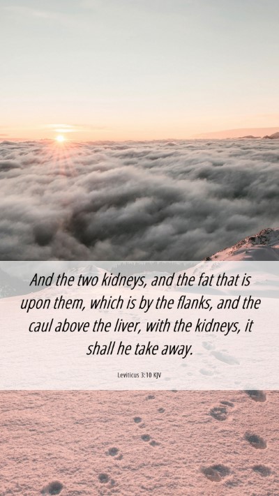 Picture 06 - Leviticus 3:10 KJV Mobile Phone Wallpaper - And the two kidneys, and the fat that is upon - Mobile Bible Verse Wallpaper