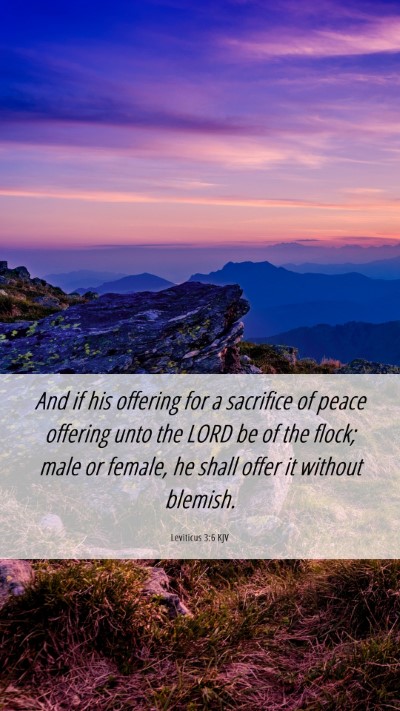 Picture 06 - Leviticus 3:6 KJV Mobile Phone Wallpaper - And if his offering for a sacrifice of peace - Mobile Bible Verse Wallpaper