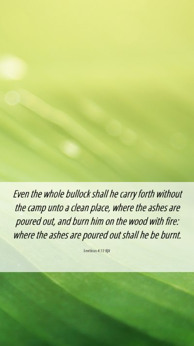 Picture 06 - Leviticus 4:12 KJV Mobile Phone Wallpaper - Even the whole bullock shall he carry forth - Mobile Bible Verse Wallpaper