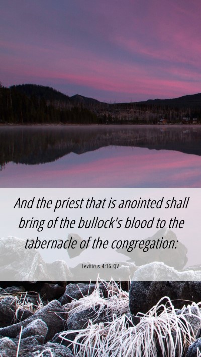 Picture 06 - Leviticus 4:16 KJV Mobile Phone Wallpaper - And the priest that is anointed shall bring of - Mobile Bible Verse Wallpaper