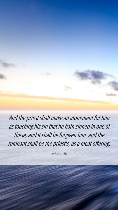 Picture 06 - Leviticus 5:13 KJV Mobile Phone Wallpaper - And the priest shall make an atonement for him as - Mobile Bible Verse Wallpaper