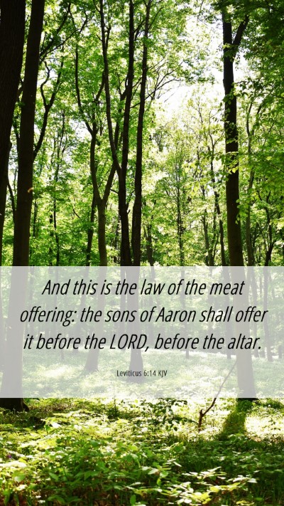 Picture 06 - Leviticus 6:14 KJV Mobile Phone Wallpaper - And this is the law of the meat offering: the - Mobile Bible Verse Wallpaper