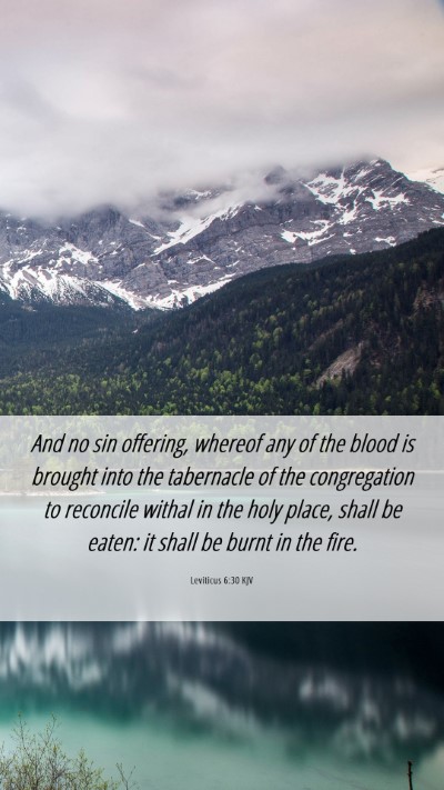 Picture 06 - Leviticus 6:30 KJV Mobile Phone Wallpaper - And no sin offering, whereof any of the blood is - Mobile Bible Verse Wallpaper