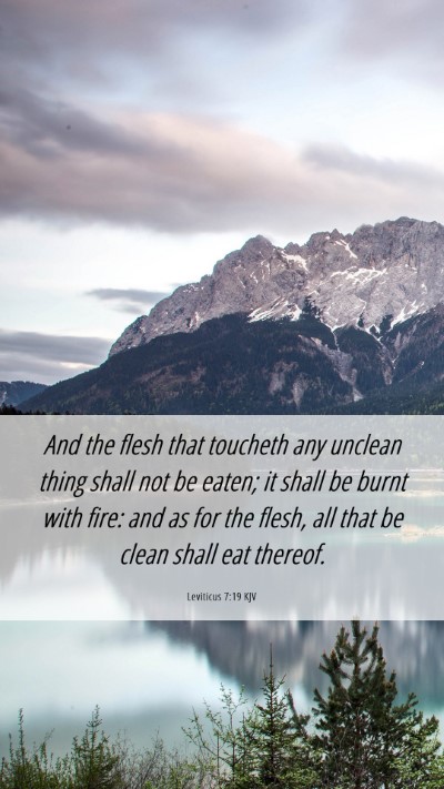 Picture 06 - Leviticus 7:19 KJV Mobile Phone Wallpaper - And the flesh that toucheth any unclean thing - Mobile Bible Verse Wallpaper