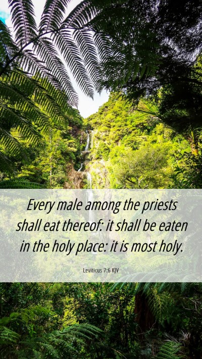 Picture 06 - Leviticus 7:6 KJV Mobile Phone Wallpaper - Every male among the priests shall eat thereof: - Mobile Bible Verse Wallpaper