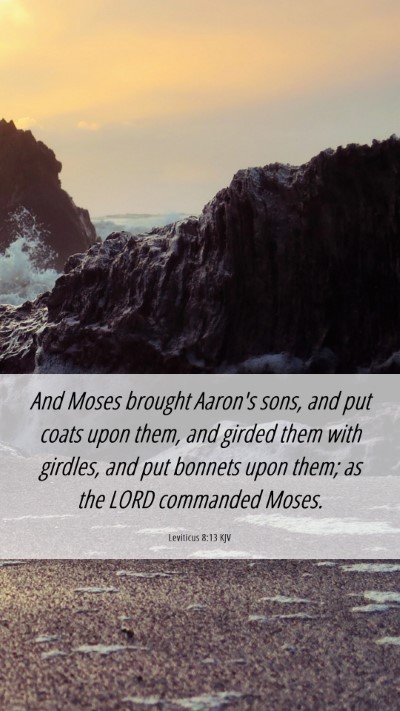 Picture 06 - Leviticus 8:13 KJV Mobile Phone Wallpaper - And Moses brought Aaron's sons, and put coats - Mobile Bible Verse Wallpaper