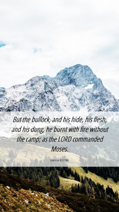 Picture 06 - Leviticus 8:17 KJV Mobile Phone Wallpaper - But the bullock, and his hide, his flesh, and his - Mobile Bible Verse Wallpaper