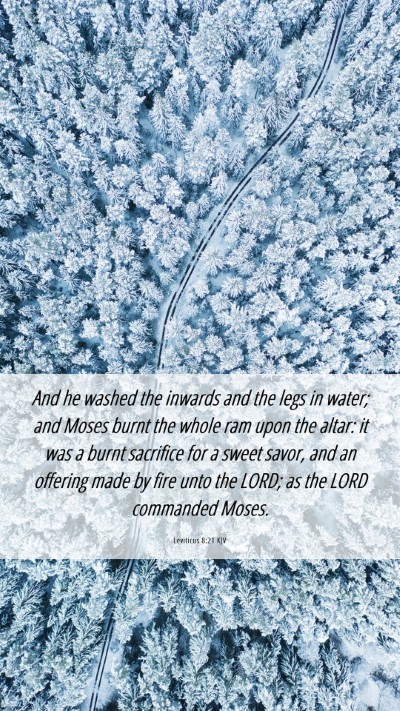 Picture 06 - Leviticus 8:21 KJV Mobile Phone Wallpaper - And he washed the inwards and the legs in water; - Mobile Bible Verse Wallpaper
