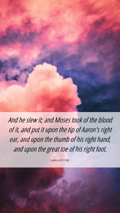 Picture 06 - Leviticus 8:23 KJV Mobile Phone Wallpaper - And he slew it; and Moses took of the blood of - Mobile Bible Verse Wallpaper
