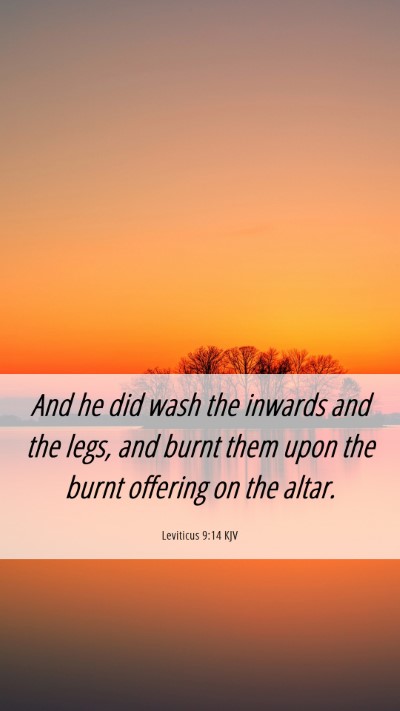 Picture 06 - Leviticus 9:14 KJV Mobile Phone Wallpaper - And he did wash the inwards and the legs, and - Mobile Bible Verse Wallpaper