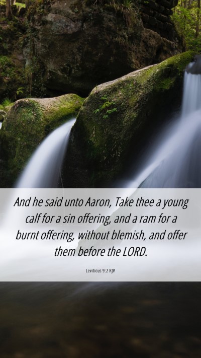 Picture 06 - Leviticus 9:2 KJV Mobile Phone Wallpaper - And he said unto Aaron, Take thee a young calf - Mobile Bible Verse Wallpaper