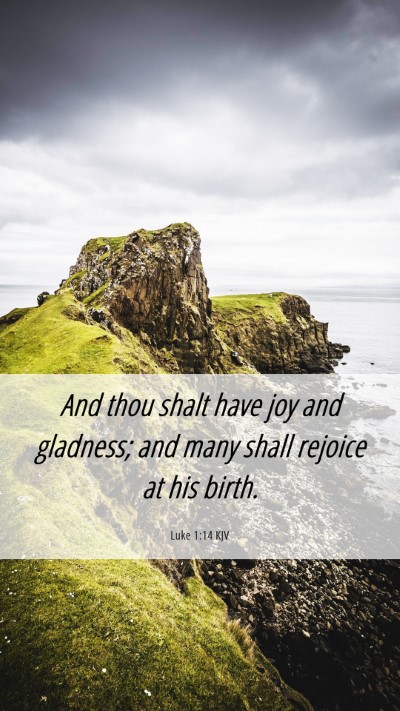 Picture 06 - Luke 1:14 KJV Mobile Phone Wallpaper - And thou shalt have joy and gladness; and many - Mobile Bible Verse Wallpaper