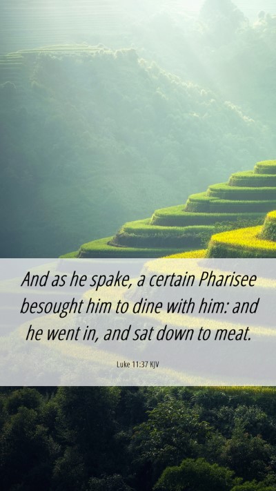 Picture 06 - Luke 11:37 KJV Mobile Phone Wallpaper - And as he spake, a certain Pharisee besought him - Mobile Bible Verse Wallpaper