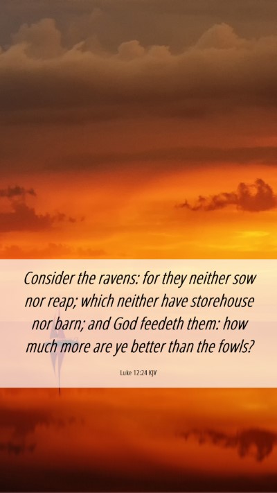 Picture 06 - Luke 12:24 KJV Mobile Phone Wallpaper - Consider the ravens: for they neither sow nor - Mobile Bible Verse Wallpaper