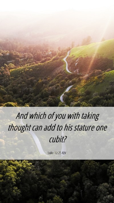 Picture 06 - Luke 12:25 KJV Mobile Phone Wallpaper - And which of you with taking thought can add to - Mobile Bible Verse Wallpaper
