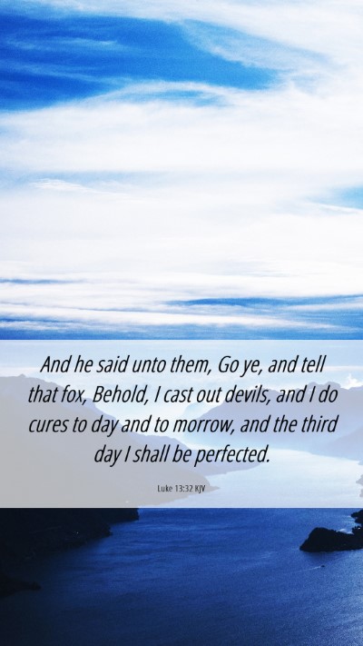 Picture 06 - Luke 13:32 KJV Mobile Phone Wallpaper - And he said unto them, Go ye, and tell that fox, - Mobile Bible Verse Wallpaper