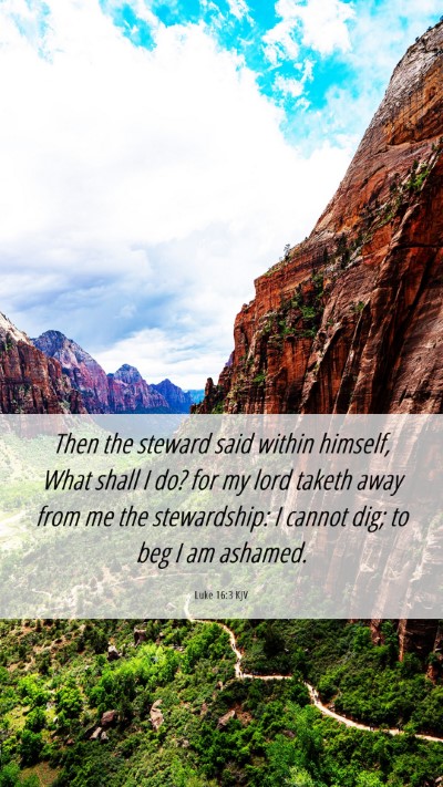 Picture 06 - Luke 16:3 KJV Mobile Phone Wallpaper - Then the steward said within himself, What shall - Mobile Bible Verse Wallpaper
