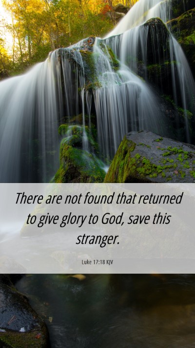 Picture 06 - Luke 17:18 KJV Mobile Phone Wallpaper - There are not found that returned to give glory - Mobile Bible Verse Wallpaper