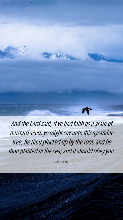 Picture 06 - Luke 17:6 KJV Mobile Phone Wallpaper - And the Lord said, If ye had faith as a grain of - Mobile Bible Verse Wallpaper