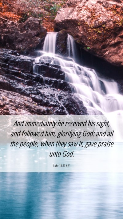 Picture 06 - Luke 18:43 KJV Mobile Phone Wallpaper - And immediately he received his sight, and - Mobile Bible Verse Wallpaper