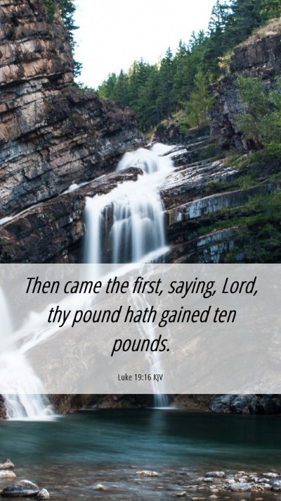 Picture 06 - Luke 19:16 KJV Mobile Phone Wallpaper - Then came the first, saying, Lord, thy pound hath - Mobile Bible Verse Wallpaper