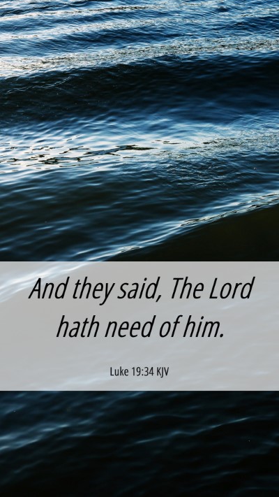 Picture 06 - Luke 19:34 KJV Mobile Phone Wallpaper - And they said, The Lord hath need of - Mobile Bible Verse Wallpaper