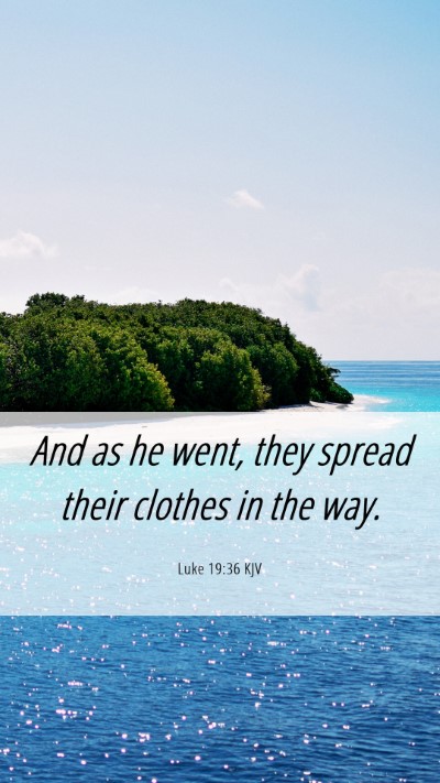 Picture 06 - Luke 19:36 KJV Mobile Phone Wallpaper - And as he went, they spread their clothes in the - Mobile Bible Verse Wallpaper