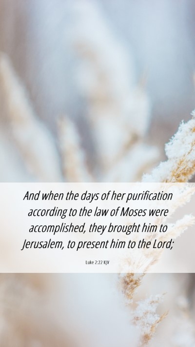 Picture 06 - Luke 2:22 KJV Mobile Phone Wallpaper - And when the days of her purification according - Mobile Bible Verse Wallpaper