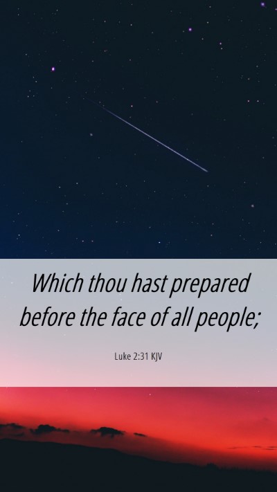 Picture 06 - Luke 2:31 KJV Mobile Phone Wallpaper - Which thou hast prepared before the face of all - Mobile Bible Verse Wallpaper