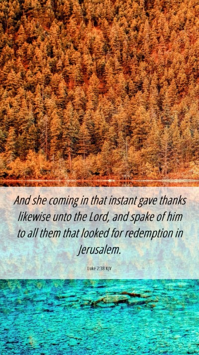 Picture 06 - Luke 2:38 KJV Mobile Phone Wallpaper - And she coming in that instant gave thanks - Mobile Bible Verse Wallpaper