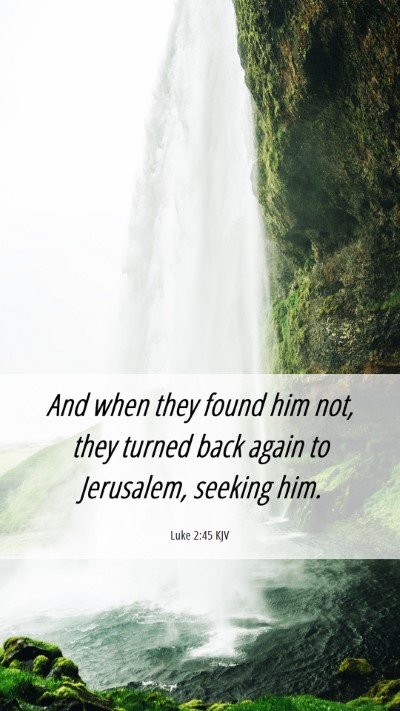 Picture 06 - Luke 2:45 KJV Mobile Phone Wallpaper - And when they found him not, they turned back - Mobile Bible Verse Wallpaper