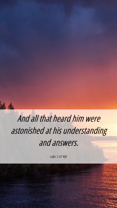 Picture 06 - Luke 2:47 KJV Mobile Phone Wallpaper - And all that heard him were astonished at his - Mobile Bible Verse Wallpaper