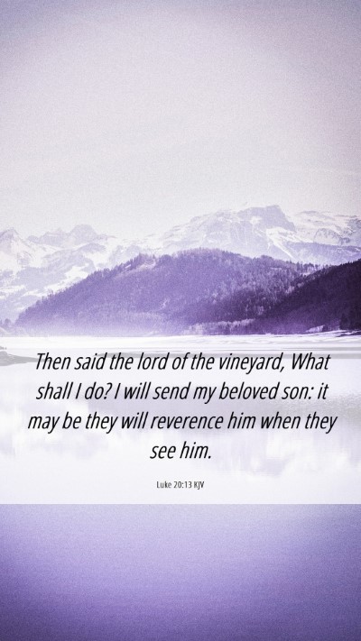 Picture 06 - Luke 20:13 KJV Mobile Phone Wallpaper - Then said the lord of the vineyard, What shall I - Mobile Bible Verse Wallpaper