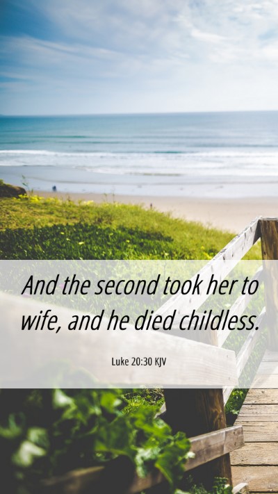 Picture 06 - Luke 20:30 KJV Mobile Phone Wallpaper - And the second took her to wife, and he died - Mobile Bible Verse Wallpaper