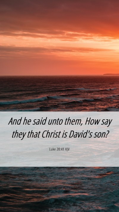 Picture 06 - Luke 20:41 KJV Mobile Phone Wallpaper - And he said unto them, How say they that Christ - Mobile Bible Verse Wallpaper