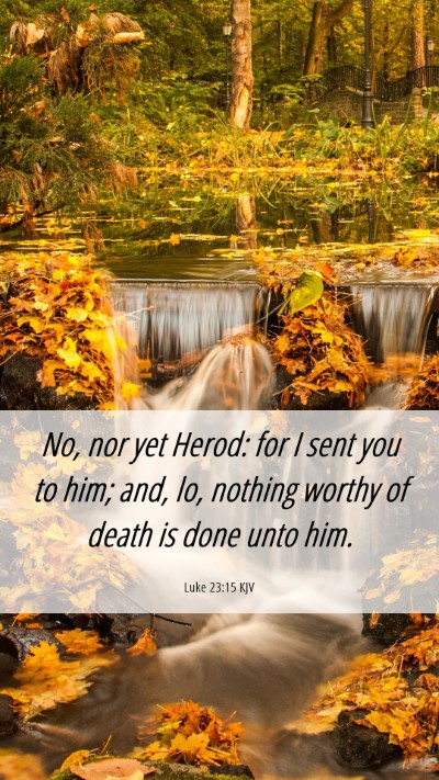 Picture 06 - Luke 23:15 KJV Mobile Phone Wallpaper - No, nor yet Herod: for I sent you to him; and, - Mobile Bible Verse Wallpaper