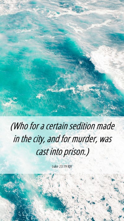 Picture 06 - Luke 23:19 KJV Mobile Phone Wallpaper - (Who for a certain sedition made in the city, and - Mobile Bible Verse Wallpaper