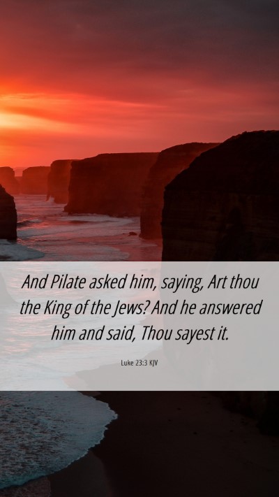 Picture 06 - Luke 23:3 KJV Mobile Phone Wallpaper - And Pilate asked him, saying, Art thou the King - Mobile Bible Verse Wallpaper