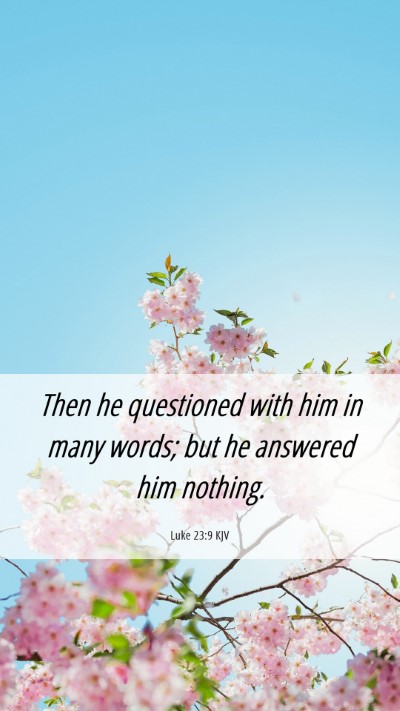 Picture 06 - Luke 23:9 KJV Mobile Phone Wallpaper - Then he questioned with him in many words; but he - Mobile Bible Verse Wallpaper