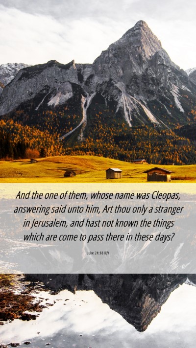 Picture 06 - Luke 24:18 KJV Mobile Phone Wallpaper - And the one of them, whose name was Cleopas, - Mobile Bible Verse Wallpaper