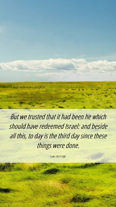 Picture 06 - Luke 24:21 KJV Mobile Phone Wallpaper - But we trusted that it had been he which should - Mobile Bible Verse Wallpaper