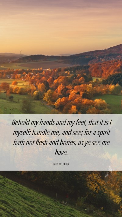 Picture 06 - Luke 24:39 KJV Mobile Phone Wallpaper - Behold my hands and my feet, that it is I myself: - Mobile Bible Verse Wallpaper