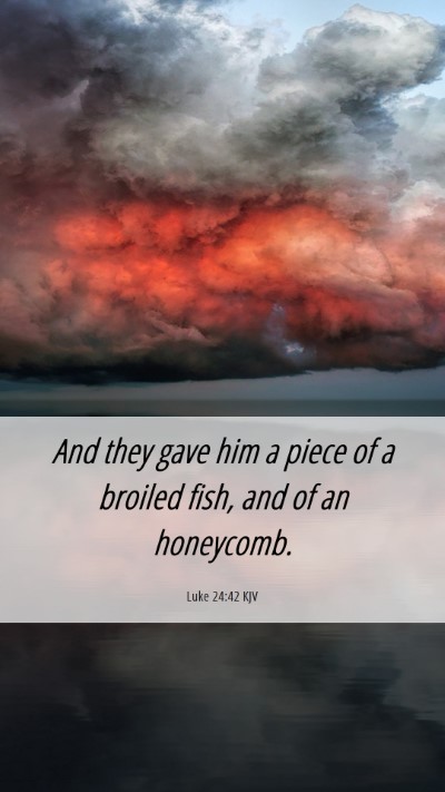 Picture 06 - Luke 24:42 KJV Mobile Phone Wallpaper - And they gave him a piece of a broiled fish, and - Mobile Bible Verse Wallpaper
