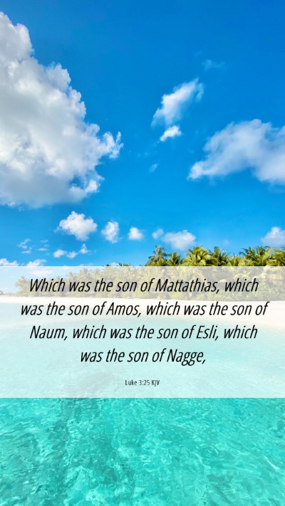 Picture 06 - Luke 3:25 KJV Mobile Phone Wallpaper - Which was the son of Mattathias, which was the - Mobile Bible Verse Wallpaper