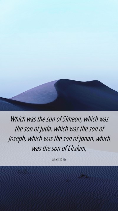 Picture 06 - Luke 3:30 KJV Mobile Phone Wallpaper - Which was the son of Simeon, which was the son of - Mobile Bible Verse Wallpaper