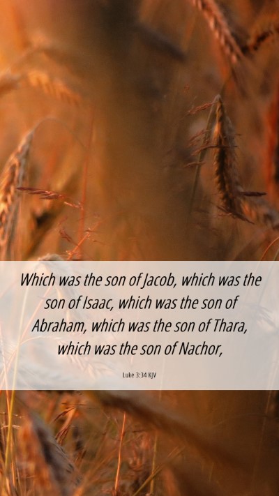 Picture 06 - Luke 3:34 KJV Mobile Phone Wallpaper - Which was the son of Jacob, which was the son of - Mobile Bible Verse Wallpaper