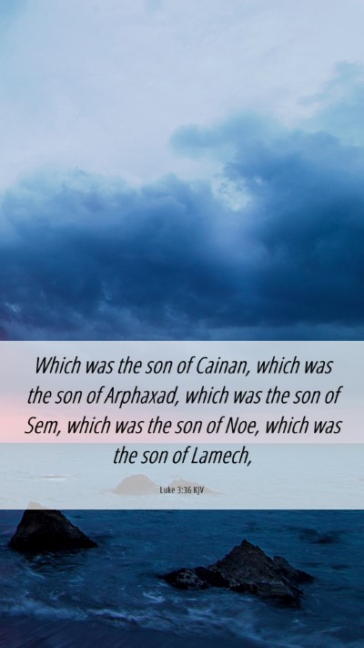 Picture 06 - Luke 3:36 KJV Mobile Phone Wallpaper - Which was the son of Cainan, which was the son of - Mobile Bible Verse Wallpaper